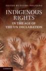 Image for Indigenous rights in the age of the UN declaration