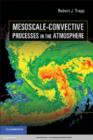 Image for Mesoscale-convective processes in the atmosphere