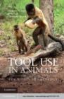 Image for Tool use in animals: cognition and ecology