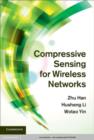 Image for Compressive sensing for wireless networks