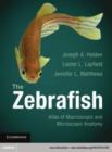 Image for The zebrafish: atlas of macroscopic and microscopic anatomy