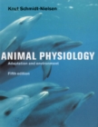 Image for Animal physiology: adaptation and environment