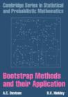 Image for Bootstrap methods and their application