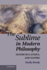 Image for Sublime in Modern Philosophy: Aesthetics, Ethics, and Nature