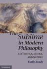 Image for The sublime in modern philosophy: aesthetics, ethics, and nature