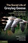Image for The social life of greylag geese: patterns, mechanisms and evolutionary function in an avian model system