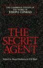 Image for The secret agent: a simple tale