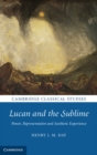 Image for Lucan and the Sublime: Power, Representation and Aesthetic Experience