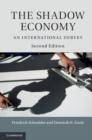 Image for Shadow Economy: An International Survey