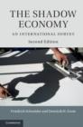 Image for The shadow economy: an international survey
