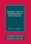 Image for Natural law in jurisprudence and politics [electronic resource] /  Mark C. Murphy. 