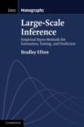 Image for Large-Scale Inference: Empirical Bayes Methods for Estimation, Testing, and Prediction