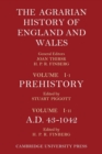 Image for The agrarian history of England and WalesVol. 1,: Prehistory to AD 1042