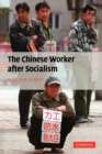Image for The Chinese Worker after Socialism