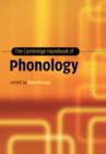 Image for The Cambridge handbook of phonology