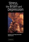 Image for Stress, the Brain and Depression