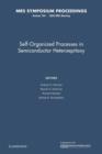 Image for Self-Organized Processes in Semiconductor Heteroepitaxy: Volume 794