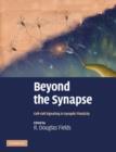 Image for Beyond the synapse  : cell-cell signaling in synaptic plasticity