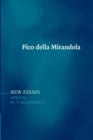 Image for Pico della Mirandola  : new essays