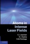 Image for Atoms in Intense Laser Fields