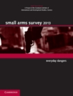 Image for Small Arms Survey 2013: Everyday Dangers