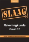 Image for SLAAG Rekeningkunde Graad 12 Afrikaans