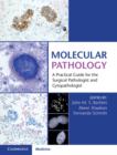 Image for Molecular pathology  : a practical guide for the surgical pathologist and cytopathologist