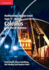 Image for Mathematics higher level topic 9 - option: calculus for the IB diploma