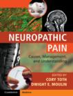 Image for Neuropathic pain: causes, management and understanding