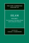 Image for The formation of the Islamic world, sixth to eleventh centuries