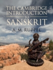 Image for The Cambridge introduction to Sanskrit