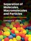 Image for Separation of Molecules, Macromolecules and Particles: Principles, Phenomena and Processes