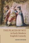 Image for The places of wit in early modern English comedy