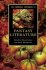 Image for Cambridge Companion to Fantasy Literature