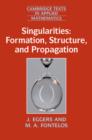 Image for Singularities  : formation, structure, and propagation