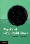 Image for Physics of gas-liquid flows