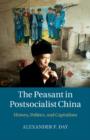 Image for The Peasant in Postsocialist China