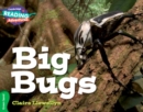 Image for Cambridge Reading Adventures Big Bugs Green Band