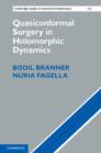 Image for Quasiconformal surgery in holomorphic dynamics