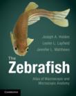 Image for The Zebrafish