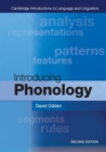 Image for Introducing phonology