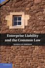 Image for Enterprise liability and the common law