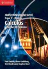 Image for Mathematics Higher Level for the IB Diploma Option Topic 9 Calculus