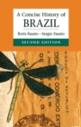 Image for A concise history of Brazil