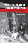Image for 1919, the year of racial violence  : how African Americans fought back