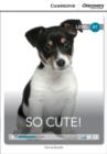 Image for So Cute! Beginning Book with Online Access