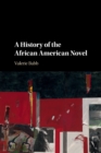 Image for A History of the African American Novel
