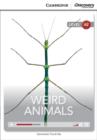 Image for Weird Animals Low Intermediate Book with Online Access