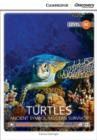 Image for Turtles: Ancient Symbol/Modern Survivor Upper Intermediate Book with Online Access