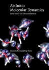 Image for Ab initio molecular dynamics  : basic theory and advanced methods